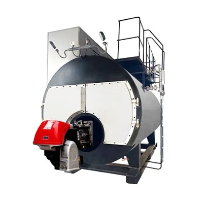 Natural Gas Steam Boiler